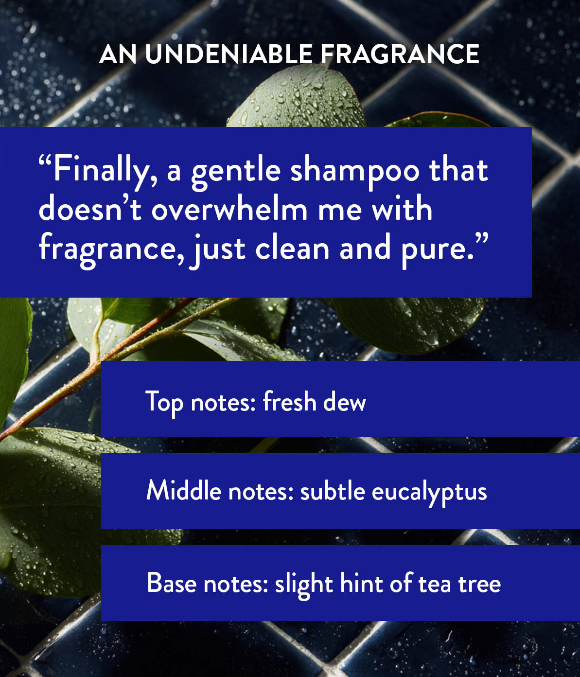 Discovery Set | Routine Care. Extraordinary Hair.