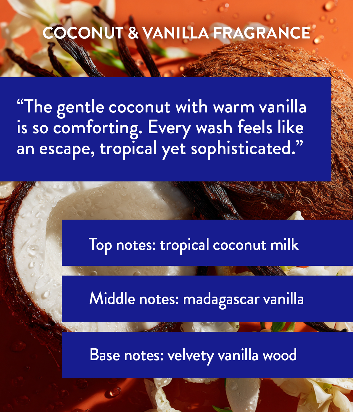 Discovery Set | Routine Care. Extraordinary Hair.